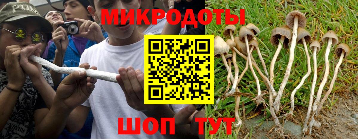 Галлюциногенные грибы Cubensis Звенигород
